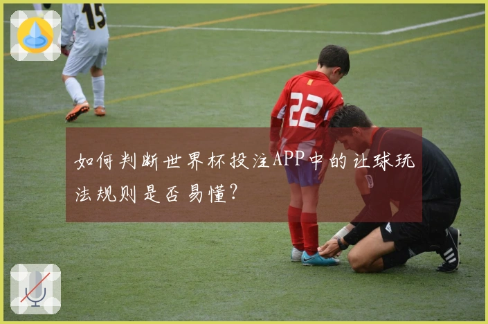 如何判断世界杯投注APP中的让球玩法规则是否易懂？