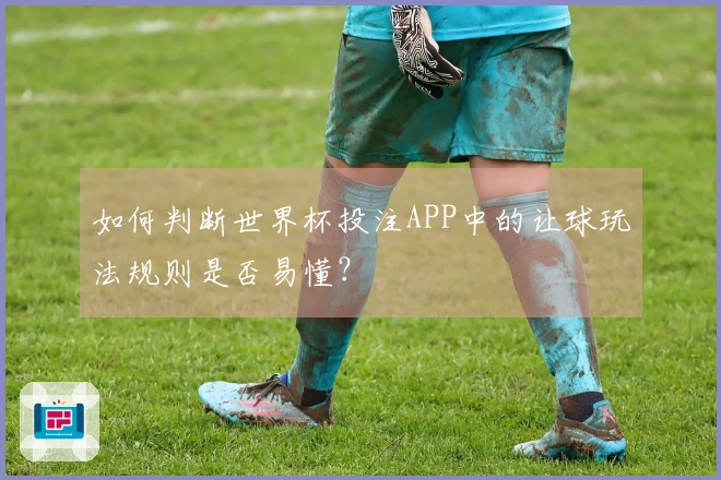 如何判断世界杯投注APP中的让球玩法规则是否易懂？