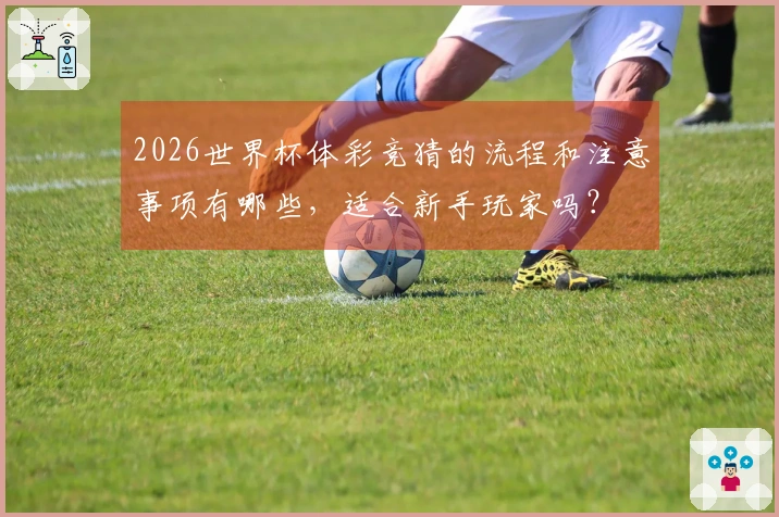 2026世界杯体彩竞猜的流程和注意事项有哪些，适合新手玩家吗？