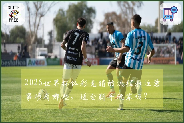 2026世界杯体彩竞猜的流程和注意事项有哪些，适合新手玩家吗？