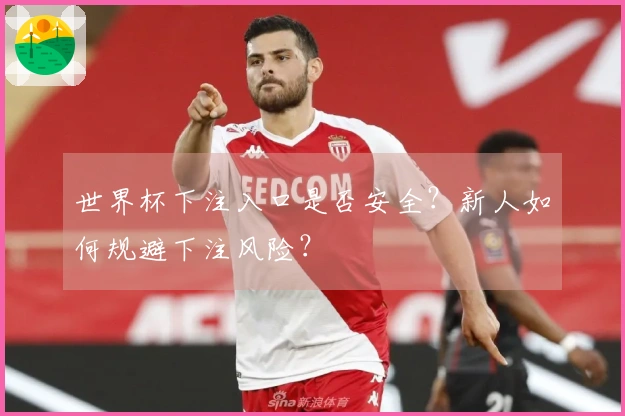 世界杯下注入口是否安全？新人如何规避下注风险？
